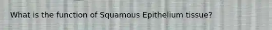 What is the function of Squamous Epithelium tissue?