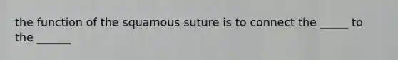 the function of the squamous suture is to connect the _____ to the ______