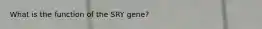 What is the function of the SRY gene?