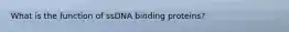 What is the function of ssDNA binding proteins?