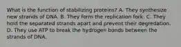 What is the function of stabilizing proteins? A. They synthesize new strands of DNA. B. They form the replication fork. C. They hold the separated strands apart and prevent their degredation. D. They use ATP to break the hydrogen bonds between the strands of DNA.