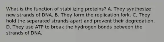 What is the function of stabilizing proteins? A. They synthesize new strands of DNA. B. They form the replication fork. C. They hold the separated strands apart and prevent their degredation. D. They use ATP to break the hydrogen bonds between the strands of DNA.