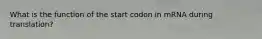 What is the function of the start codon in mRNA during translation?