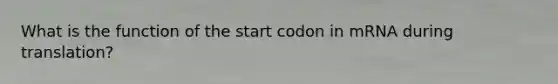 What is the function of the start codon in mRNA during translation?