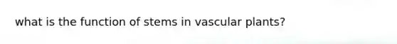 what is the function of stems in vascular plants?