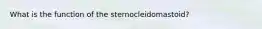 What is the function of the sternocleidomastoid?