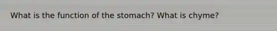 What is the function of the stomach? What is chyme?