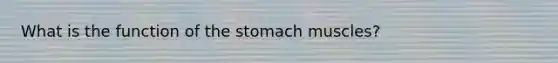 What is the function of the stomach muscles?