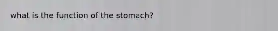 what is the function of the stomach?