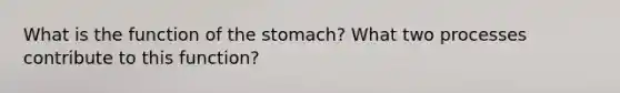 What is the function of the stomach? What two processes contribute to this function?