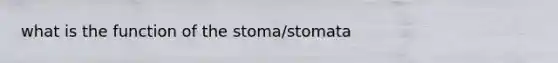 what is the function of the stoma/stomata