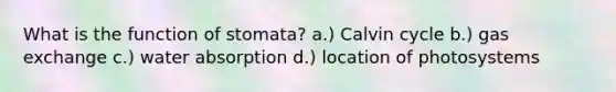 What is the function of stomata? a.) Calvin cycle b.) <a href='https://www.questionai.com/knowledge/kU8LNOksTA-gas-exchange' class='anchor-knowledge'>gas exchange</a> c.) water absorption d.) location of photosystems