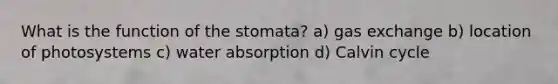 What is the function of the stomata? a) gas exchange b) location of photosystems c) water absorption d) Calvin cycle