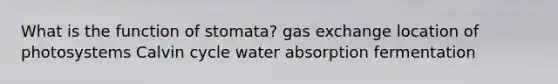 What is the function of stomata? gas exchange location of photosystems Calvin cycle water absorption fermentation