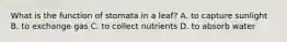 What is the function of stomata in a leaf? A. to capture sunlight B. to exchange gas C. to collect nutrients D. to absorb water