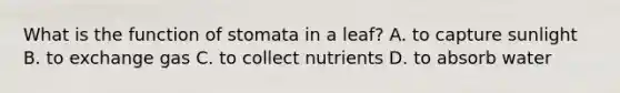 What is the function of stomata in a leaf? A. to capture sunlight B. to exchange gas C. to collect nutrients D. to absorb water