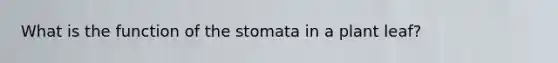 What is the function of the stomata in a plant leaf?