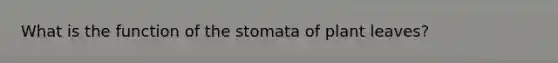 What is the function of the stomata of plant leaves?