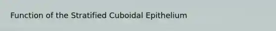 Function of the Stratified Cuboidal Epithelium