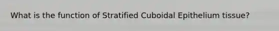 What is the function of Stratified Cuboidal Epithelium tissue?