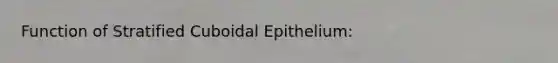 Function of Stratified Cuboidal Epithelium: