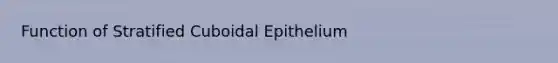 Function of Stratified Cuboidal Epithelium