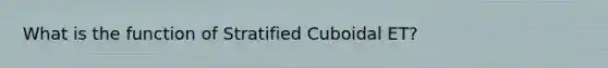 What is the function of Stratified Cuboidal ET?