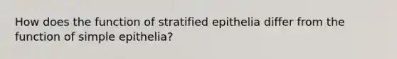 How does the function of stratified epithelia differ from the function of simple epithelia?