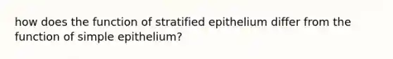 how does the function of stratified epithelium differ from the function of simple epithelium?