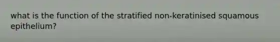 what is the function of the stratified non-keratinised squamous epithelium?