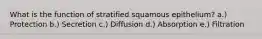 What is the function of stratified squamous epithelium? a.) Protection b.) Secretion c.) Diffusion d.) Absorption e.) Filtration