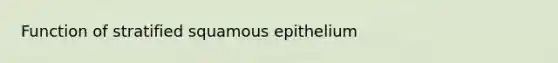 Function of stratified squamous epithelium