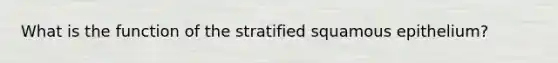 What is the function of the stratified squamous epithelium?