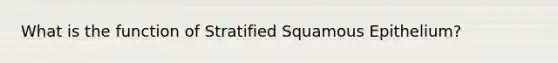 What is the function of Stratified Squamous Epithelium?