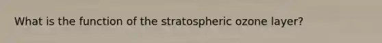 What is the function of the stratospheric ozone layer?