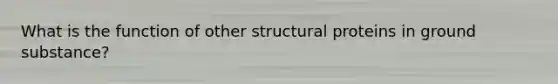 What is the function of other structural proteins in ground substance?