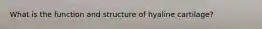 What is the function and structure of hyaline cartilage?