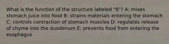 What is the function of the structure labeled "6"? A: mixes stomach juice into food B: strains materials entering <a href='https://www.questionai.com/knowledge/kLccSGjkt8-the-stomach' class='anchor-knowledge'>the stomach</a> C: controls contraction of stomach muscles D: regulates release of chyme into the duodenum E: prevents food from entering <a href='https://www.questionai.com/knowledge/kSjVhaa9qF-the-esophagus' class='anchor-knowledge'>the esophagus</a>