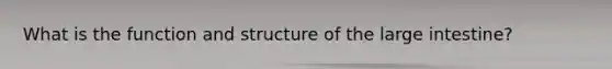 What is the function and structure of the large intestine?