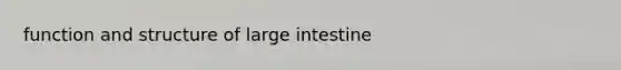 function and structure of <a href='https://www.questionai.com/knowledge/kGQjby07OK-large-intestine' class='anchor-knowledge'>large intestine</a>