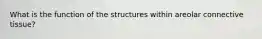 What is the function of the structures within areolar connective tissue?