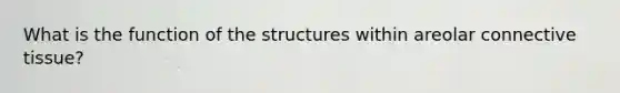 What is the function of the structures within areolar <a href='https://www.questionai.com/knowledge/kYDr0DHyc8-connective-tissue' class='anchor-knowledge'>connective tissue</a>?