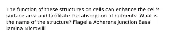 The function of these structures on cells can enhance the cell's surface area and facilitate the absorption of nutrients. What is the name of the structure? Flagella Adherens junction Basal lamina Microvilli