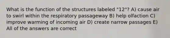 What is the function of the structures labeled "12"? A) cause air to swirl within the respiratory passageway B) help olfaction C) improve warming of incoming air D) create narrow passages E) All of the answers are correct