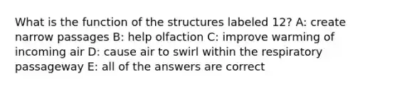 What is the function of the structures labeled 12? A: create narrow passages B: help olfaction C: improve warming of incoming air D: cause air to swirl within the respiratory passageway E: all of the answers are correct