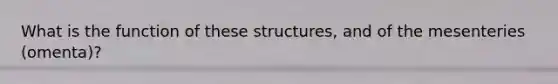 What is the function of these structures, and of the mesenteries (omenta)?