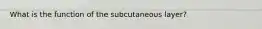 What is the function of the subcutaneous layer?