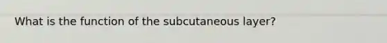 What is the function of the subcutaneous layer?