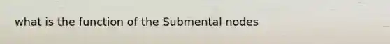 what is the function of the Submental nodes