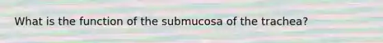 What is the function of the submucosa of the trachea?